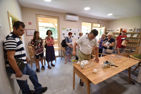 delavnica-8-8-2020-6C3A7D095-7125-D715-651C-6667F09B333D.jpg